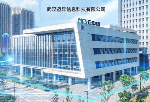 武汉智园科技 武汉软件新城信息技术产业高质量发展